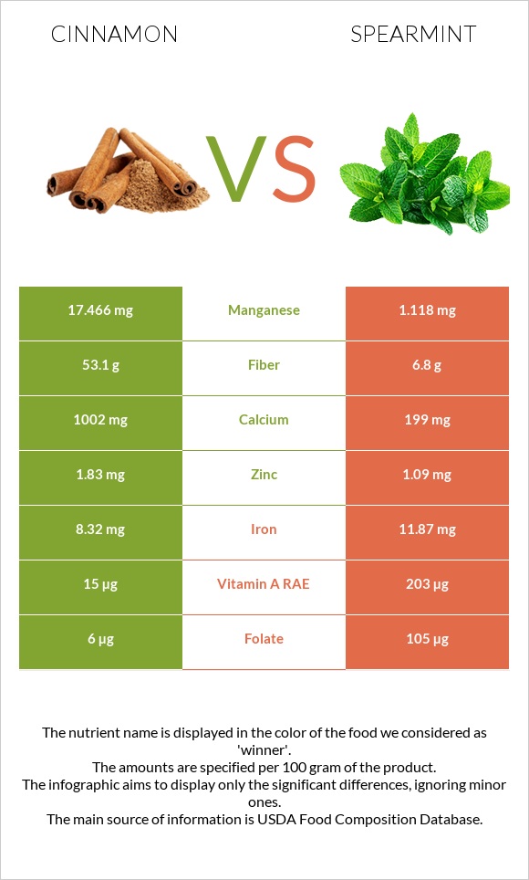 Cinnamon vs Spearmint infographic