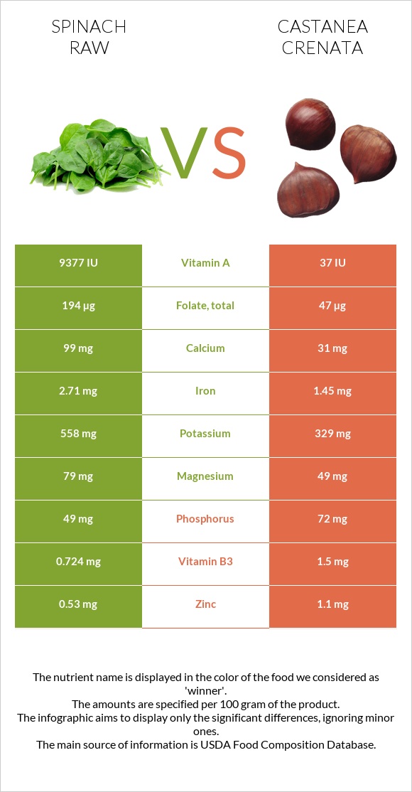 Spinach raw vs Castanea crenata infographic