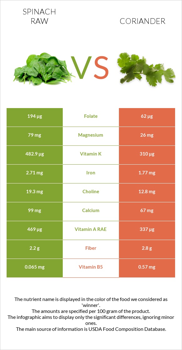 Spinach raw vs Coriander infographic