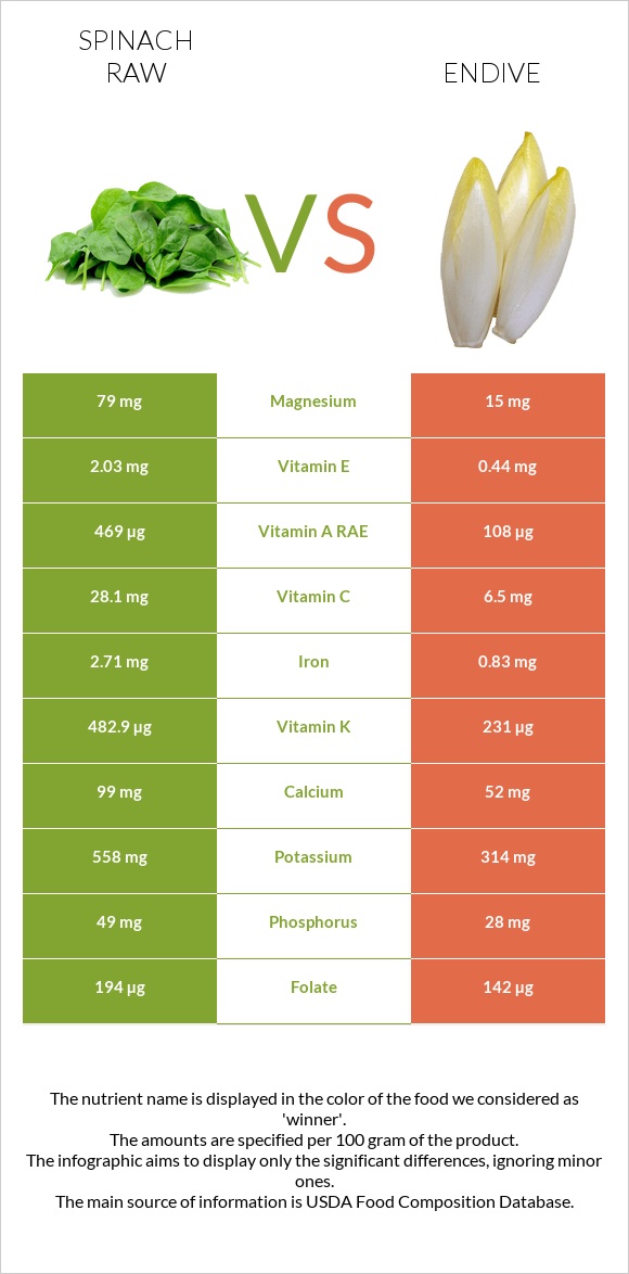 Spinach raw vs Endive infographic