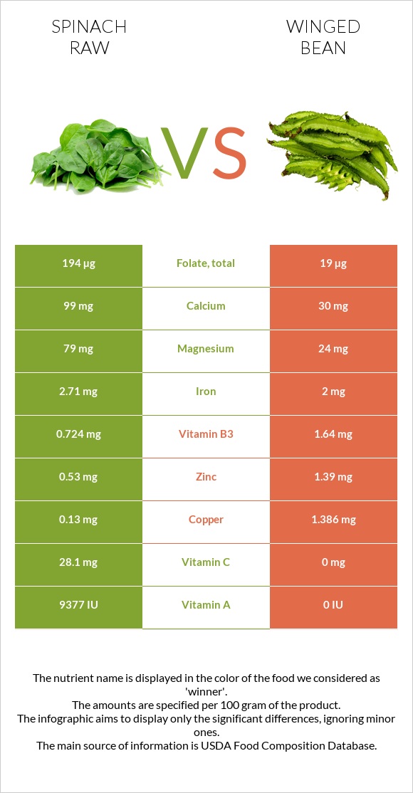 Spinach raw vs Winged bean infographic