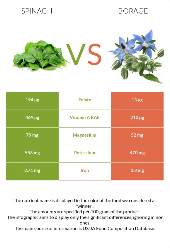 Spinach vs Borage infographic