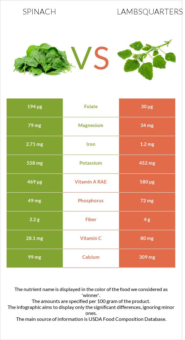 Spinach vs Lambsquarters infographic