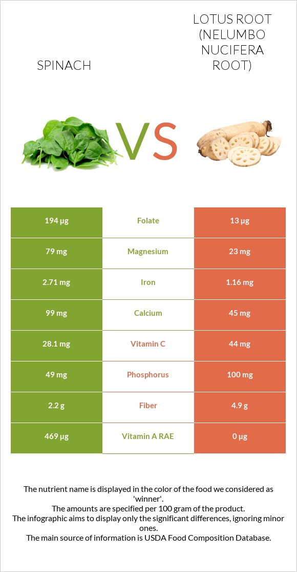 Spinach vs Lotus root infographic