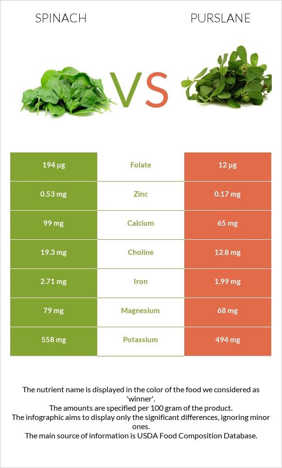 Spinach vs Purslane infographic