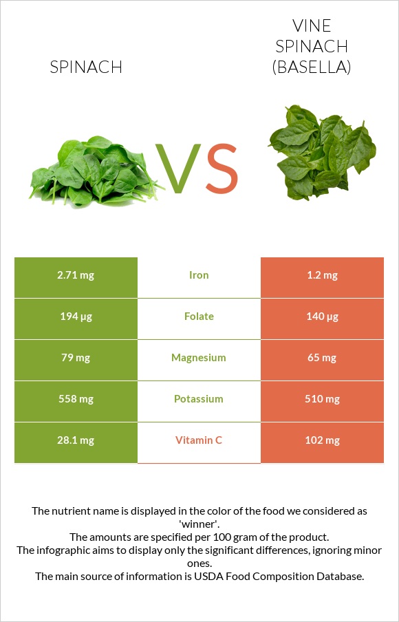 Spinach vs Vine spinach (basella) infographic