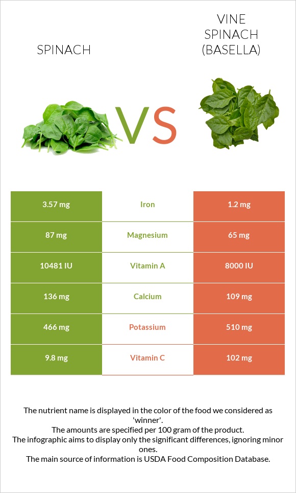 Սպանախ vs Vine spinach (basella) infographic