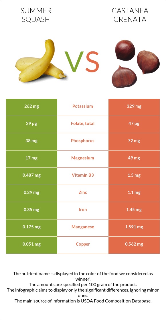 Summer squash vs Castanea crenata infographic