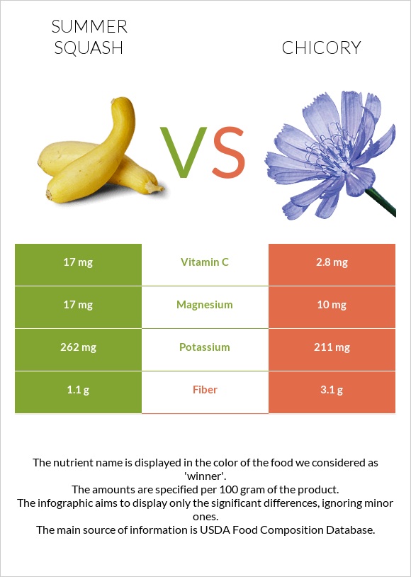 Summer squash vs Chicory infographic