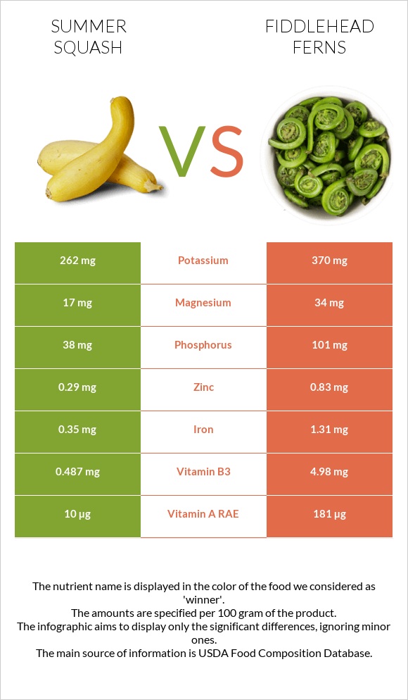 Summer squash vs Fiddlehead ferns infographic