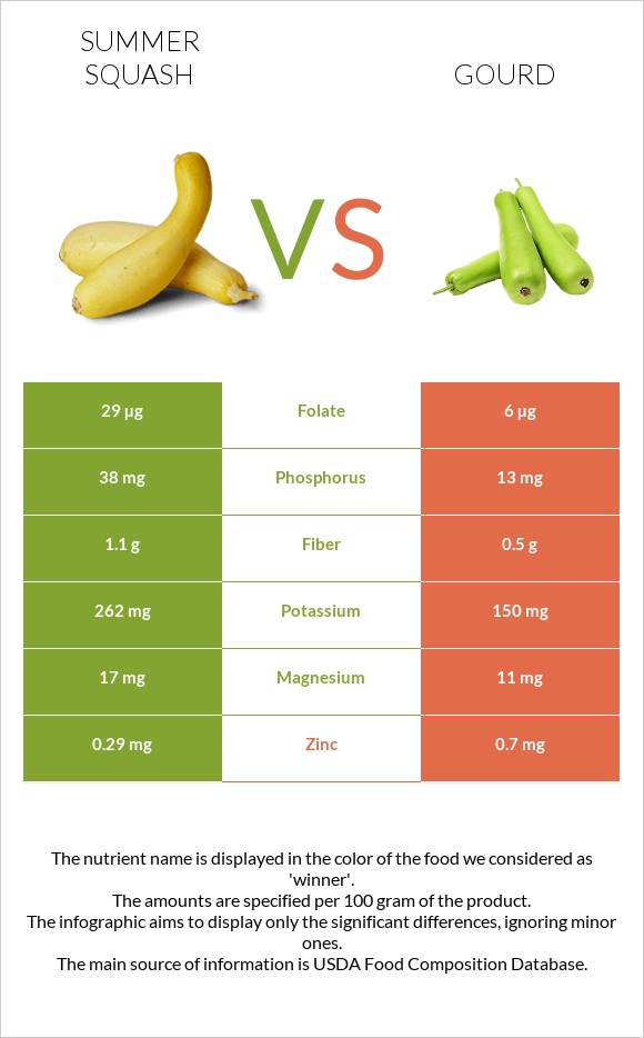 Summer squash vs Gourd infographic