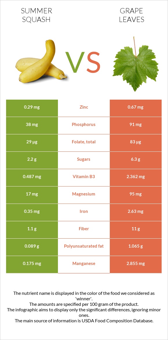 Summer squash vs Grape leaves infographic