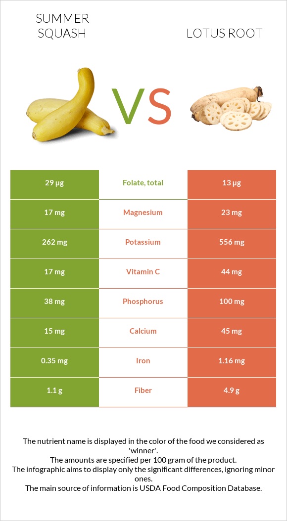 Summer squash vs Lotus root infographic