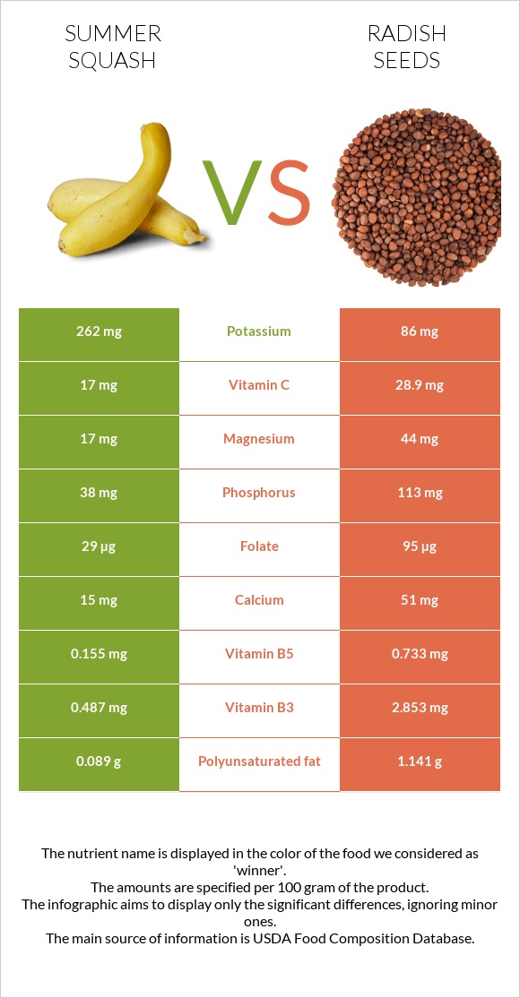 Summer squash vs Radish seeds infographic