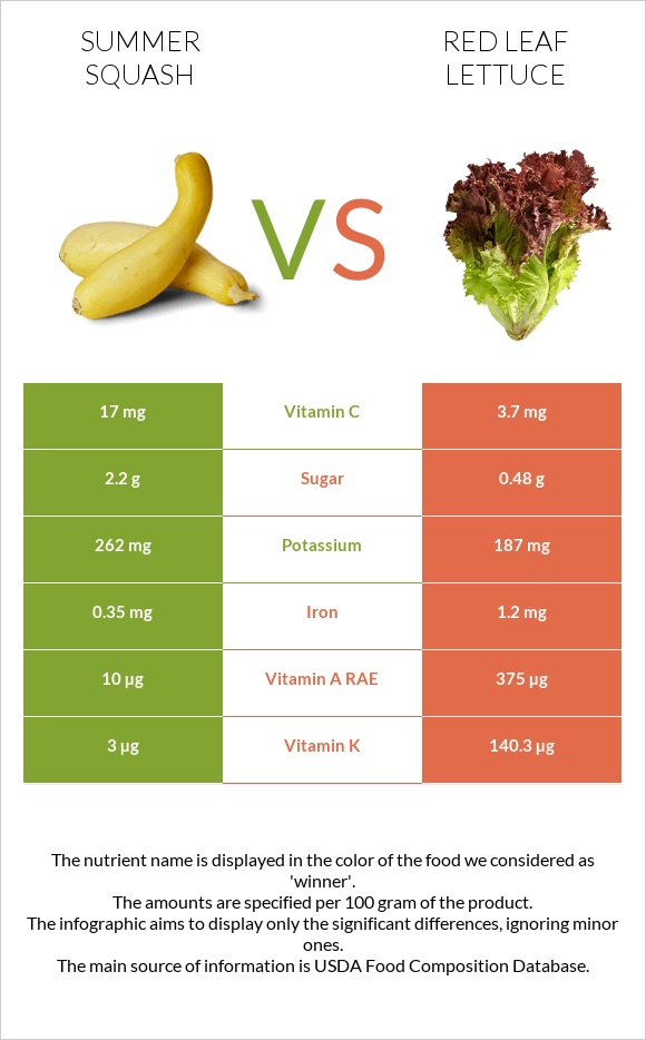 Summer squash vs Red leaf lettuce infographic