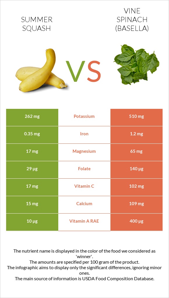 Summer squash vs Vine spinach (basella) infographic