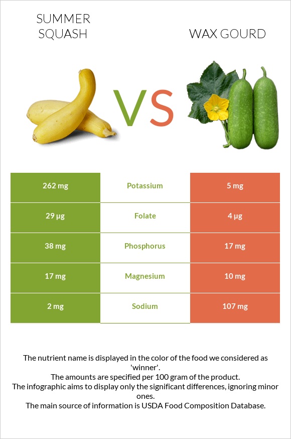 Summer squash vs Wax gourd infographic