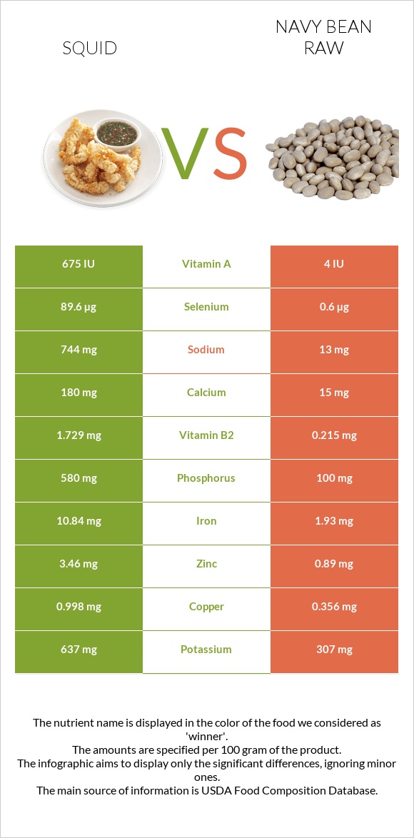 Squid vs Navy bean raw infographic