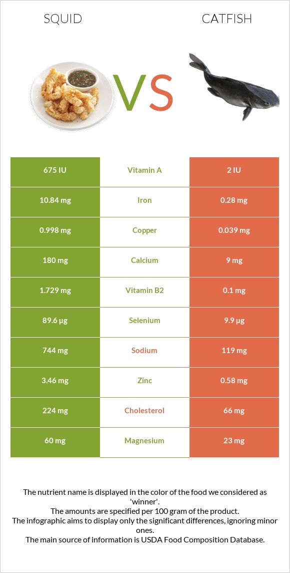 Տապակած կաղամար vs Catfish infographic