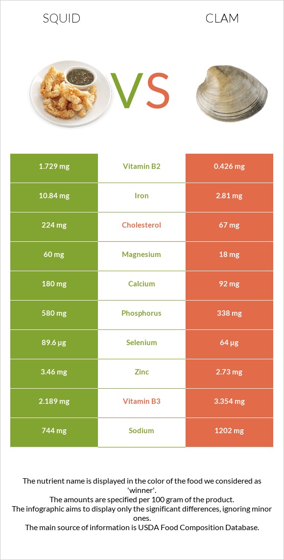 Squid vs Clam infographic