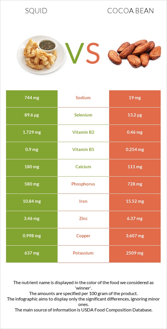 Squid vs Cocoa bean infographic