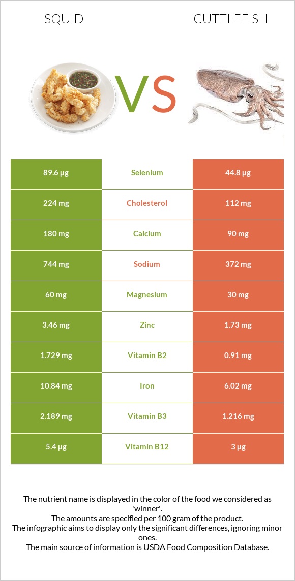 Տապակած կաղամար vs Cuttlefish infographic