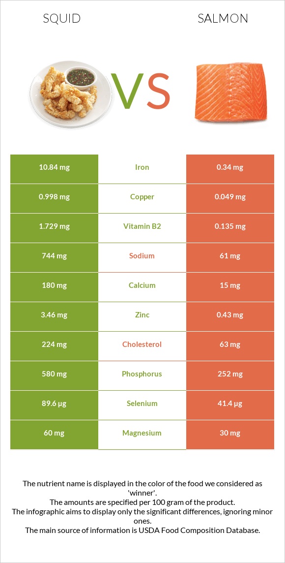 Squid as food vs Salmon infographic