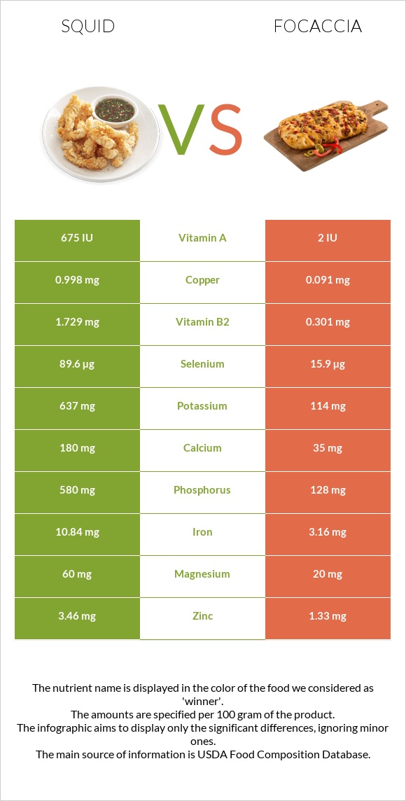 Squid vs Focaccia infographic