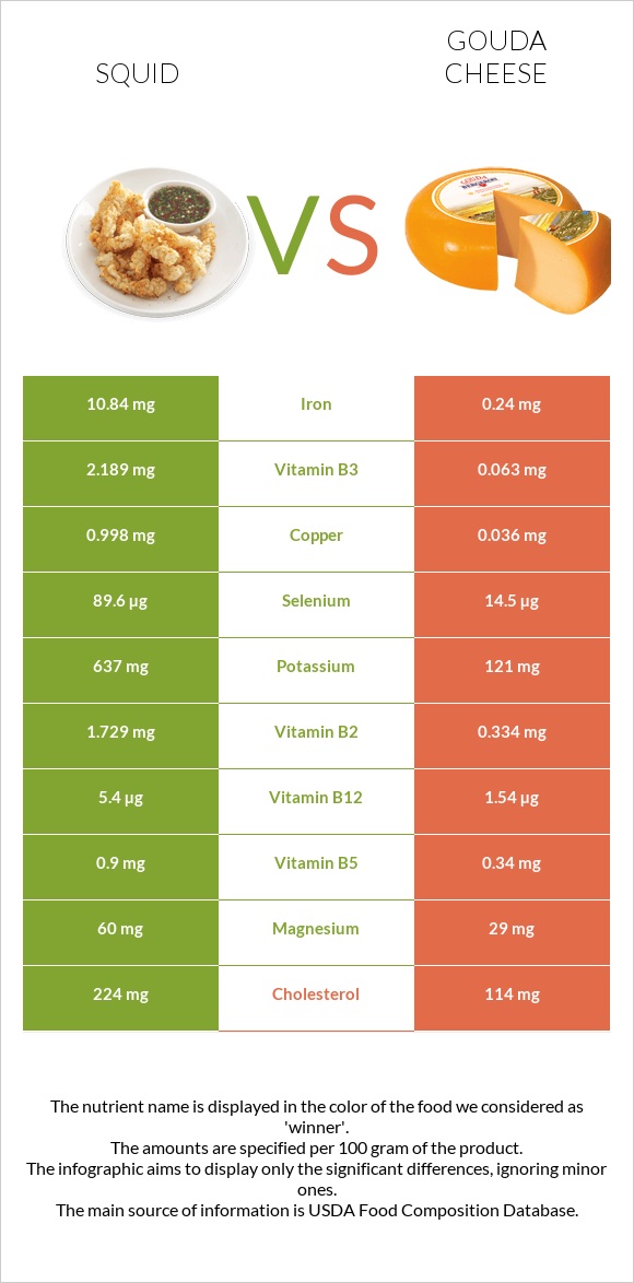 Squid vs Gouda cheese infographic