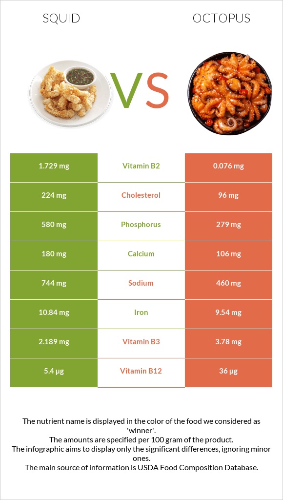 Տապակած կաղամար vs Octopus infographic