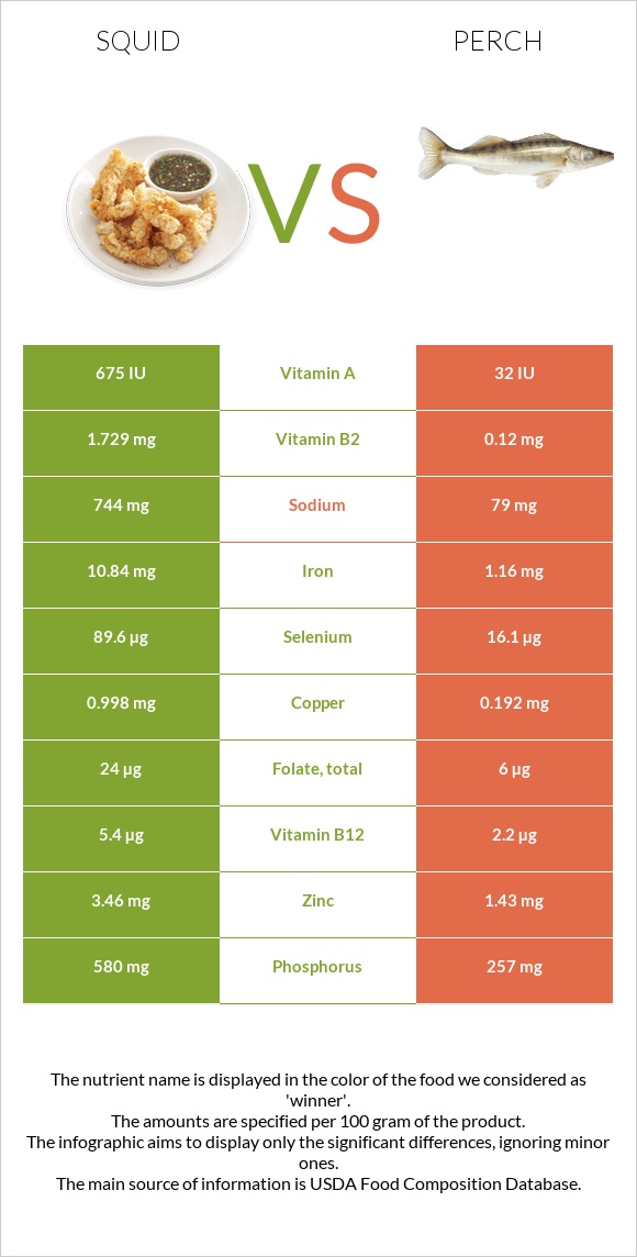 Squid as food vs Perch infographic