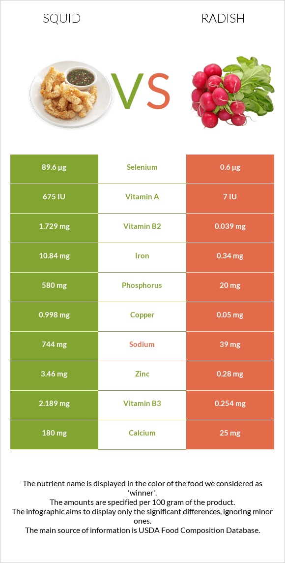 Squid vs Radish infographic