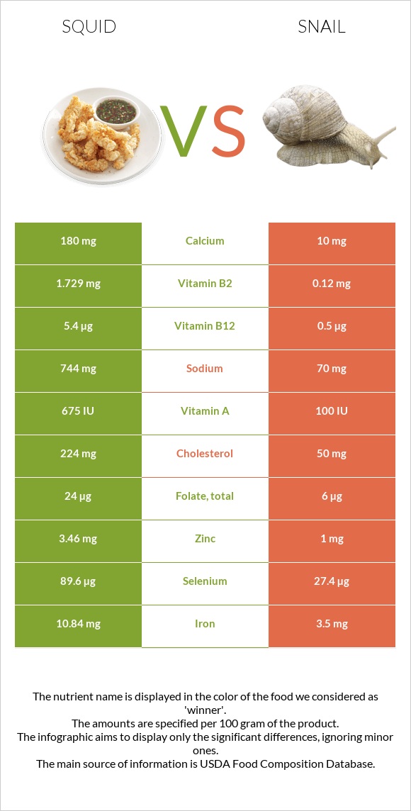 Տապակած կաղամար vs Խխունջ infographic