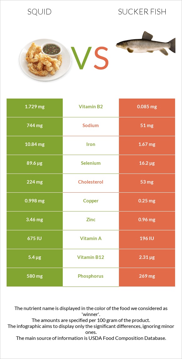 Squid as food vs Sucker fish infographic