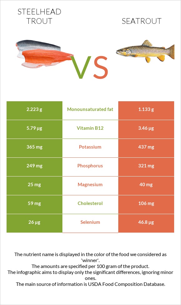 Steelhead trout vs Seatrout infographic