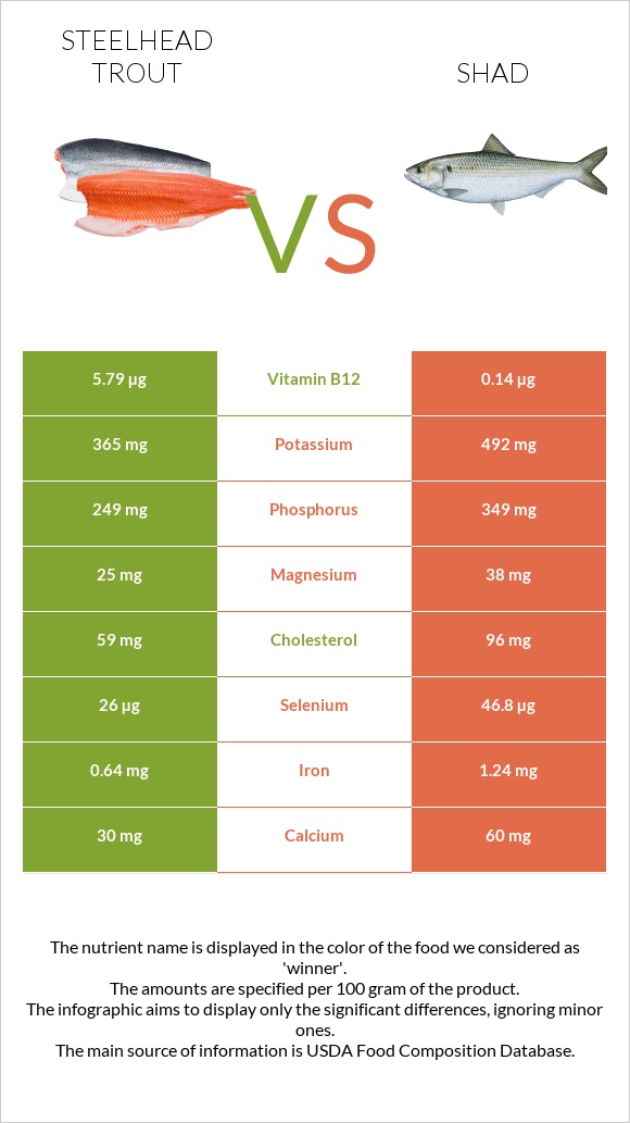 Steelhead trout vs Shad infographic