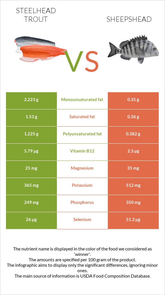 Steelhead trout vs Sheepshead infographic