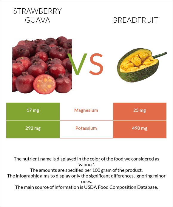 Ելակի գուավա vs Հացի ծառ infographic