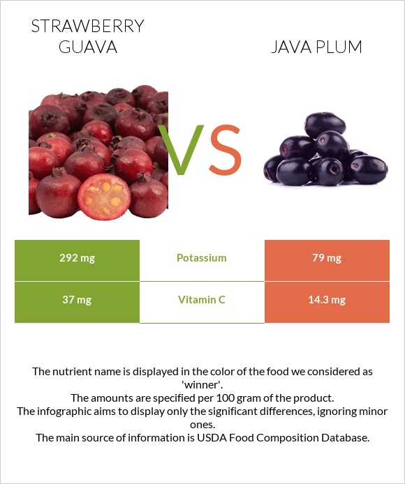 Ելակի գուավա vs Java plum infographic