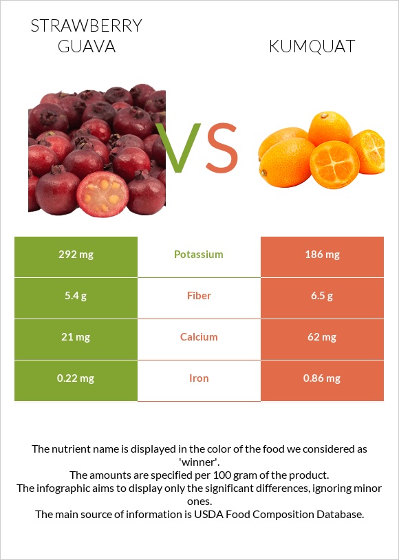 Ելակի գուավա vs Kumquat infographic