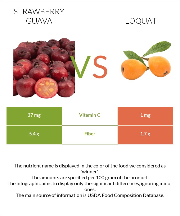 Ելակի գուավա vs Loquat infographic