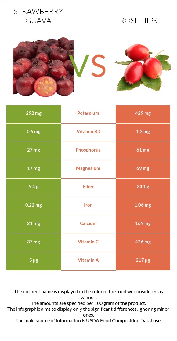 Ելակի գուավա vs Մասուրի պտուղներ infographic