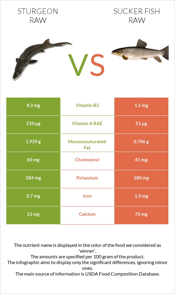 Sturgeon raw vs Sucker fish raw infographic