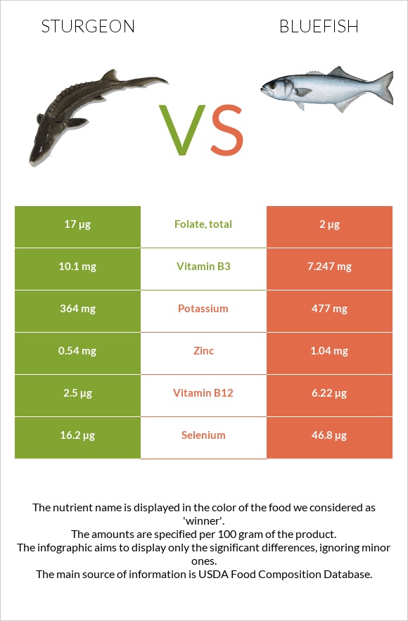 Sturgeon vs Bluefish infographic