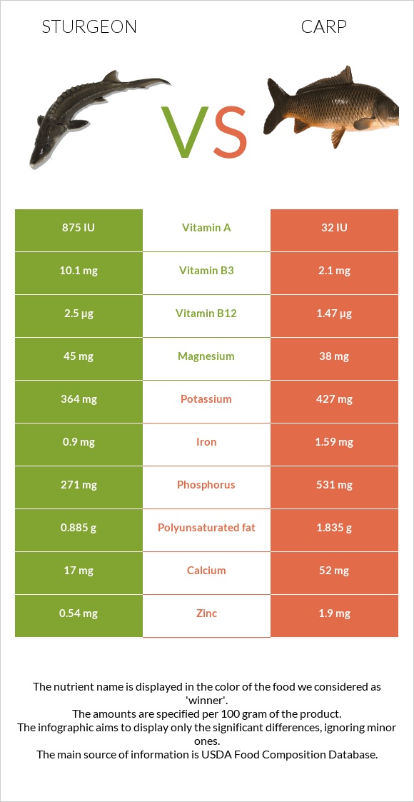 Sturgeon vs Carp infographic