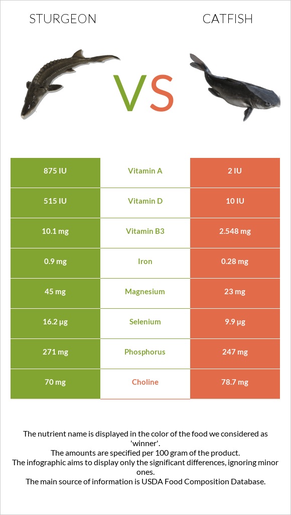 Sturgeon vs Catfish infographic