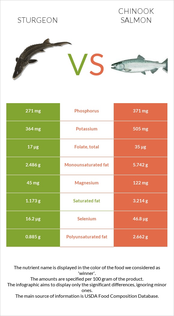 Sturgeon vs Սաղմոն չավիչա infographic