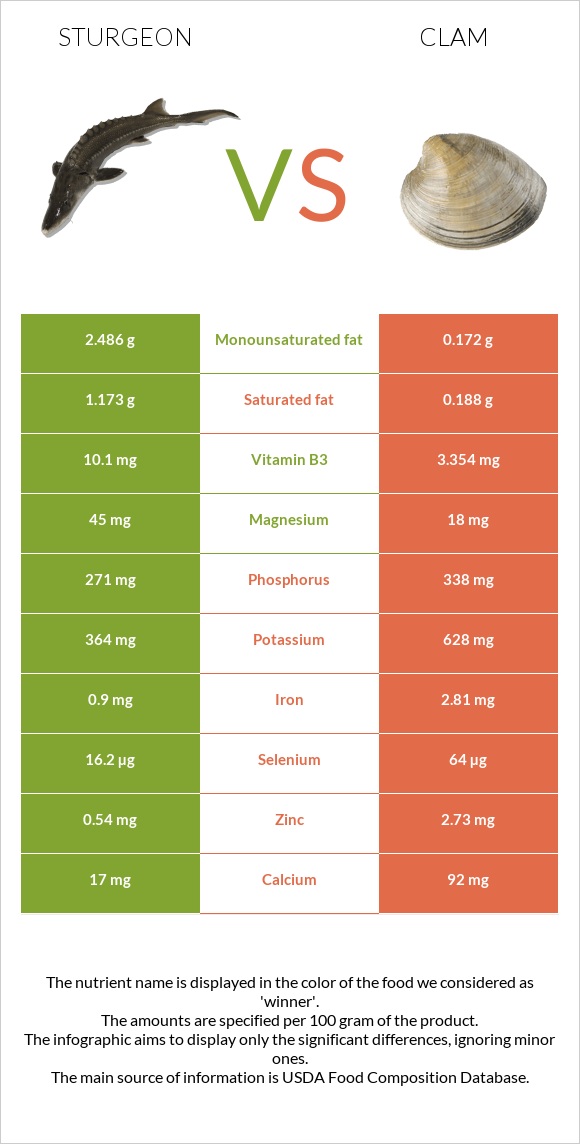 Sturgeon vs Clam infographic