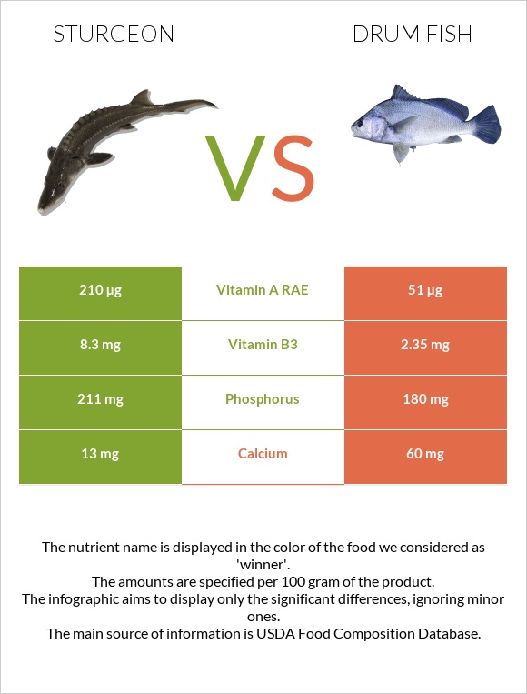 Sturgeon vs Drum fish infographic