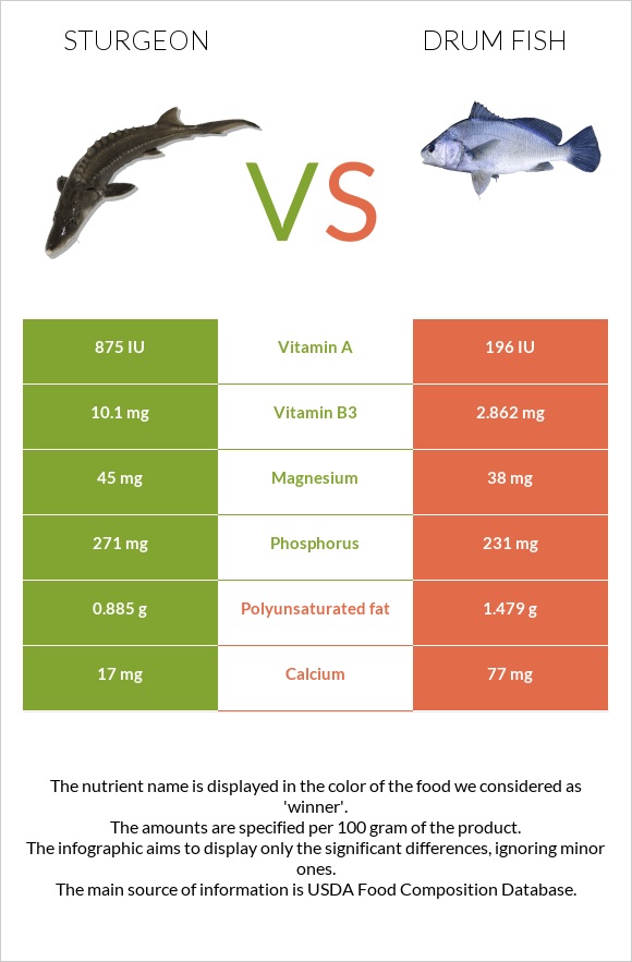 Sturgeon vs Drum fish infographic